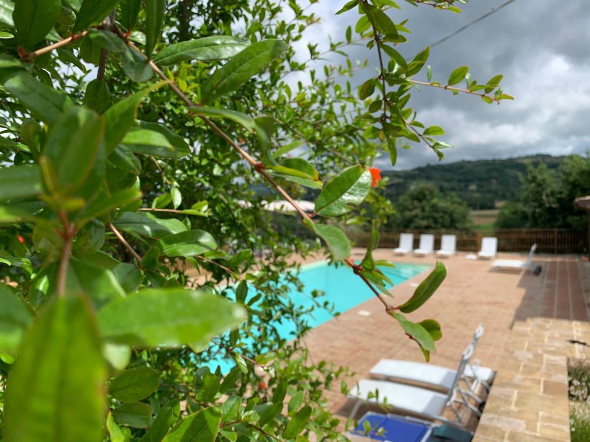 Agriturismo La Palazzetta Di Ассизи Экстерьер фото