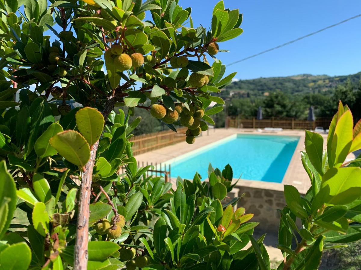 Agriturismo La Palazzetta Di Ассизи Экстерьер фото