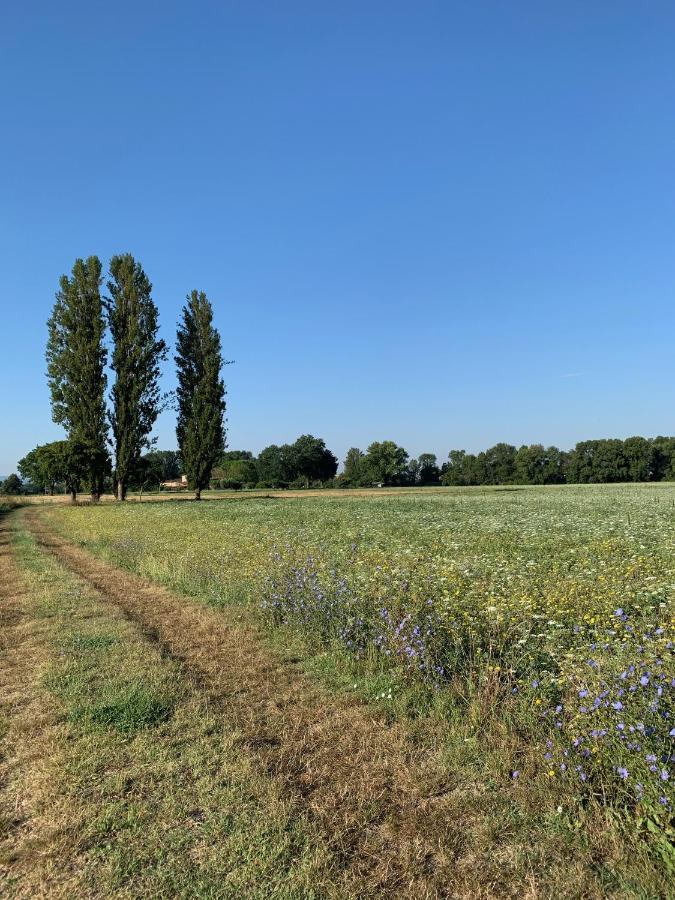 Agriturismo La Palazzetta Di Ассизи Экстерьер фото