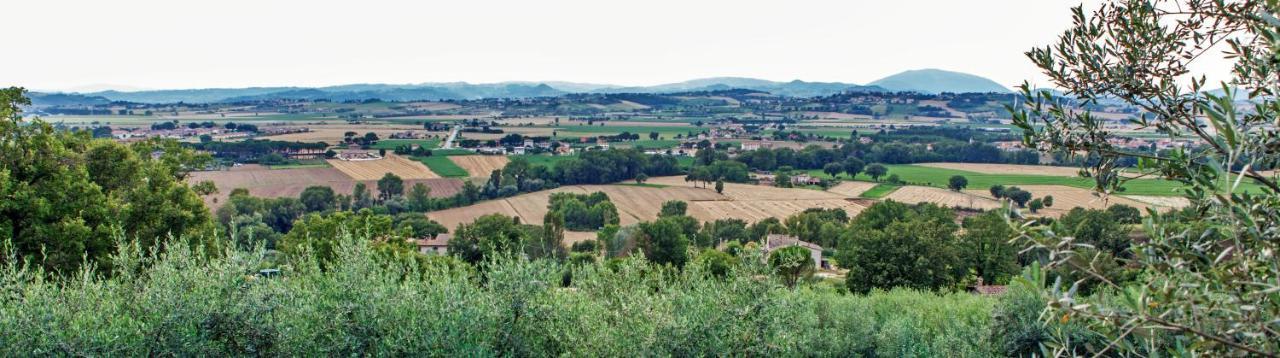 Agriturismo La Palazzetta Di Ассизи Экстерьер фото